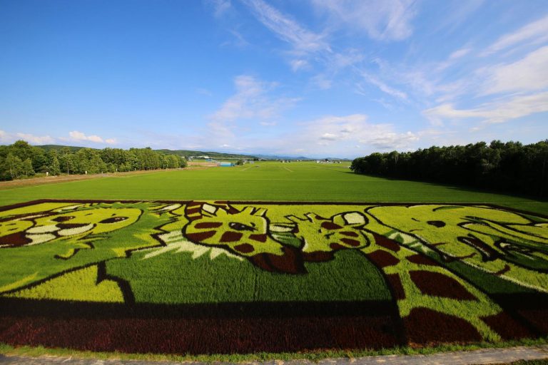 夏の旭川を楽しむ★「観る、遊ぶ、食べる」旭川の夏旅おすすめスポット