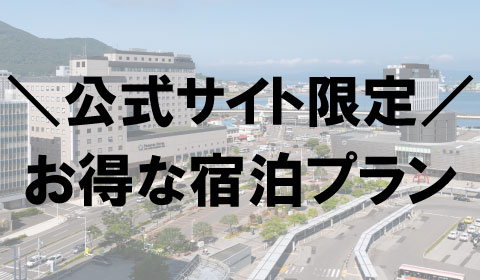 公式サイト限定プラン