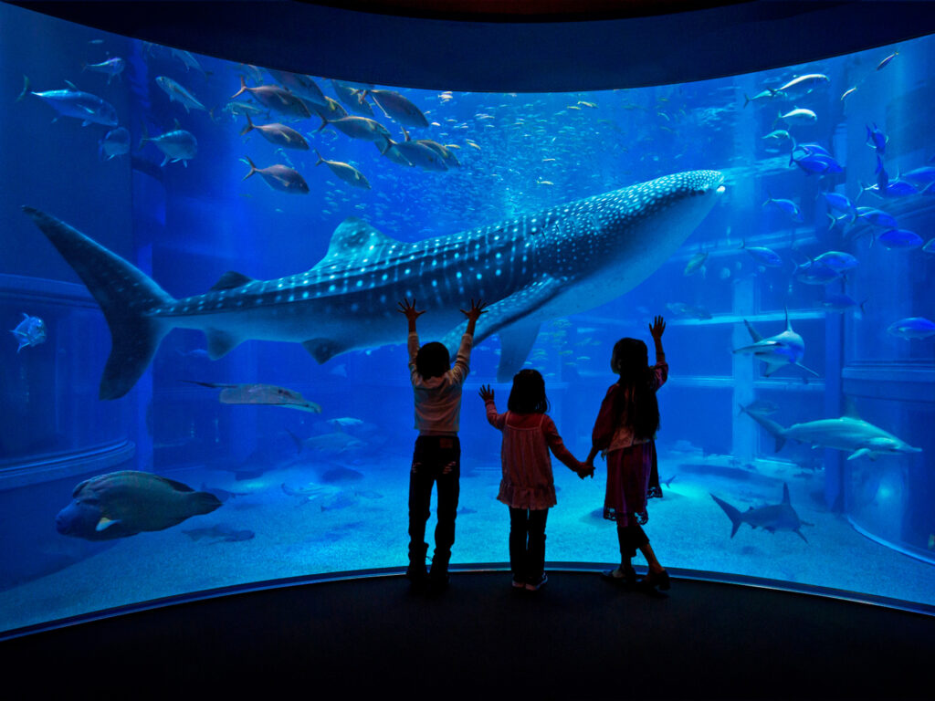 世界最大級の水族館「海遊館」のチケットをフロントにて販売しています｜【公式】プレミアホテル-CABIN  PRESIDENT-大阪｜大阪・梅田のビジネスホテル