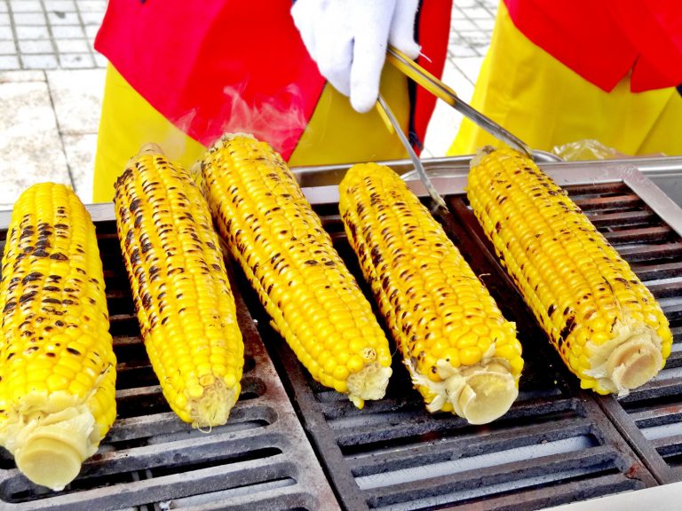 夏の札幌を楽しむ★「観る、遊ぶ、食べる」札幌の夏旅おすすめスポット