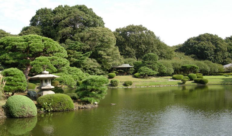 【新宿御苑のご紹介】
