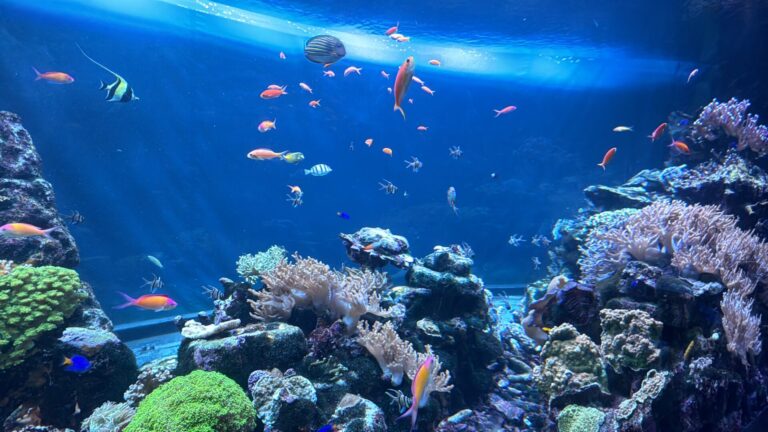 【サンシャイン水族館】までの行き方