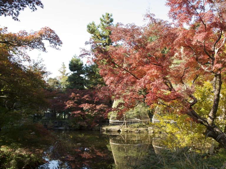 新宿の隠れ紅葉スポット「甘泉公園」へ