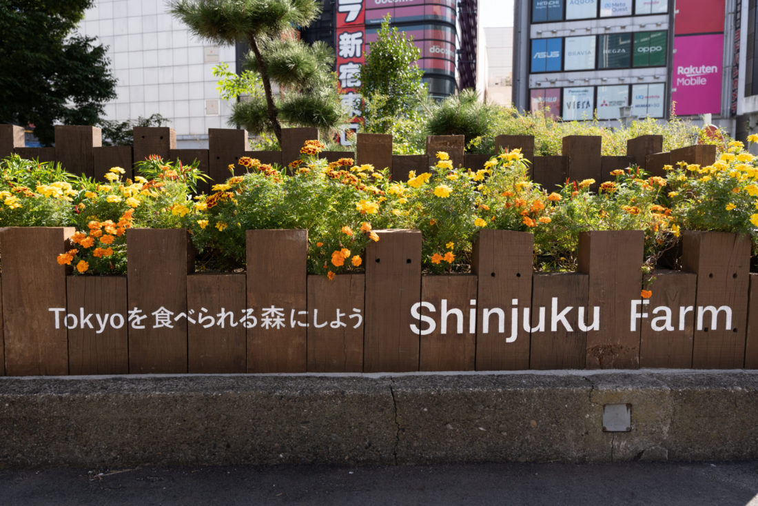 新宿駅東口駅前広場「Shinjuku Farm Project」。地域の皆さまと共に、江戸時代に新宿地域で育てられた「内藤とうがらし」を栽培。